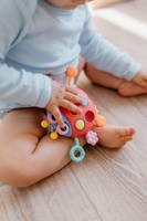 Tahoulíček beruška babyted plast 15x11cm v krabici 6m+