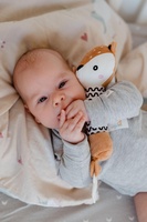 Srneček babyted Pískátko/kousátko plyš 25cm na kartě v sáčku 0m+