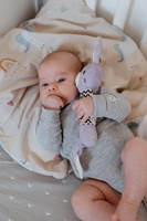 Zajíček babyted pískátko/kousátko plyš 25cm fialový na kartě v sáčku 0m+