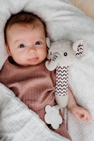 Slon babyted pískátko/kousátko plyš 25cm na kartě v sáčku 0m+