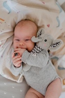 Slon babyted pískátko/kousátko plyš 25cm na kartě v sáčku 0m+