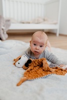 Srneček usínáček babyted, kousátko, chrastítko plyš 25x25cm na kartě v sáčku 0m+