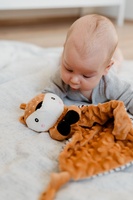 Srneček usínáček babyted, kousátko, chrastítko plyš 25x25cm na kartě v sáčku 0m+