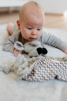 Slon usínáček babyted kousátko, chrastítko plyš 25x25cm na kartě v sáčku 0m+