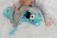 Medvídek usínáček babyted kousátko, chrastítko plyš 25x25cm na kartě v sáčku 0m+