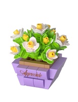 Stavebnice mini KOCO Sukulent v květináči různé druhy