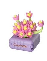 Stavebnice mini KOCO Sukulent v květináči různé druhy