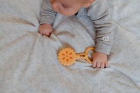 Chrastíček koláček babyted chrastítko silikon 13x5cm na kartě 0m+