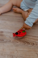 Točáček beruška babyted silikon/plast 8x8cm na kartě 0m+