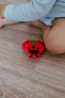 Točáček beruška babyted silikon/plast 8x8cm na kartě 0m+