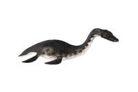 Plesiosaur dinosaurus zooted plast 23cm