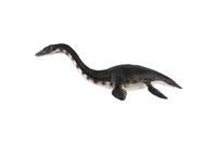 Plesiosaur dinosaurus zooted plast 23cm