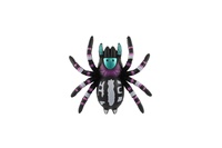 Pavouk lezoucí po skle plast 8cm 3 barvy na kartě