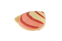 Zvířátka mořská s doplňky plast 13ks 10-13cm v sáčku