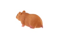 Morče domácí zooted 6cm