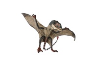 Pteropterus dinosaurus zooted plast15cm