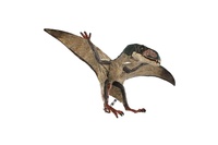 Pteropterus dinosaurus zooted plast15cm
