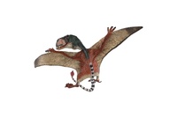 Pteropterus dinosaurus zooted plast15cm