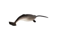 Narval jednorohý zooted plast 20cm