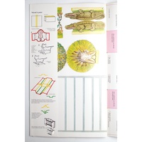 Blug Vystřihovánky Pojďme si hrát se zvířaty