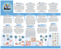 Postřehová hra Dobble Junior