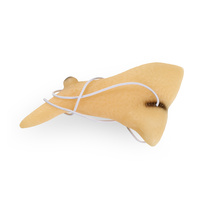 Čarodějnický nos s bradavicí