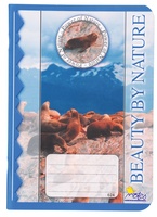 Školní Sešit 624 deníček linkovaný 20 listů A6