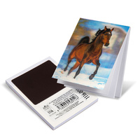 Trhací zápisník s magnetem Koně 3D efekt
