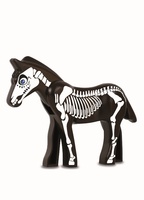 Efko Igráček s pohádkou Půlnoční dostihy Kůň Kosťa