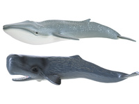 Zoolandia mořská zvířátka 22,5-28cm 4druhy