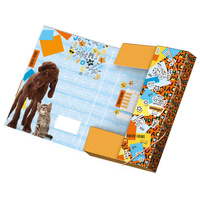  Argus Školní Box na sešity s klopou Mazlíčci Forever Friends A4