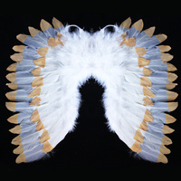 Andělská křídla bílo zlatá z peří 67x46cm