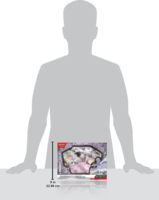 Sběratelské karty Pokémon TCG Houndstone ex Box