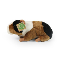 Plyšové morče 22 cm eco friendly 